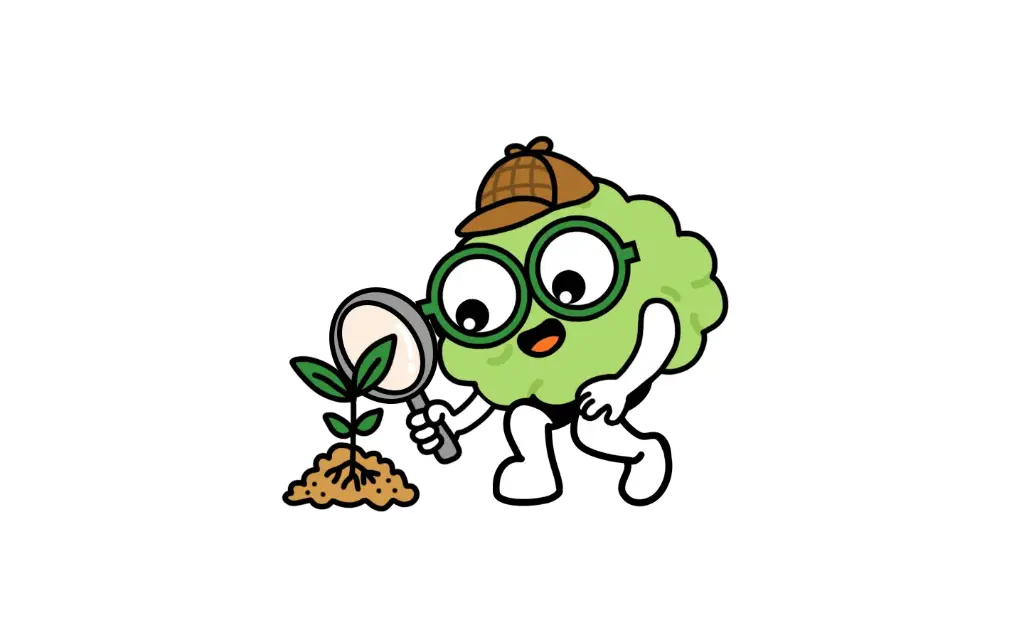 Science Mnemonics for Primary 4 (June)